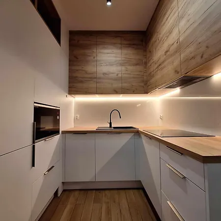 Apartment Loft Gdanskie Mlyny